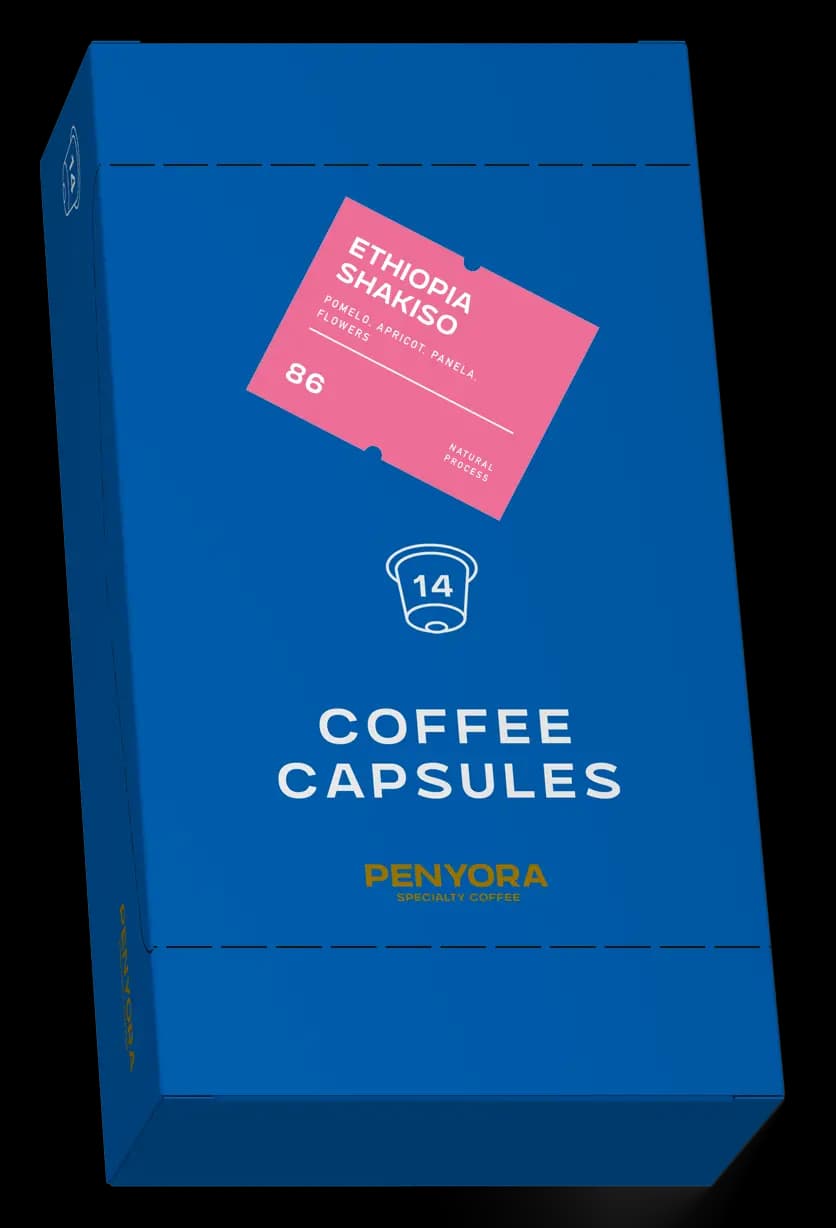 COFFEE CAPSULES ETHIOPIA SHAKISO NATURAL