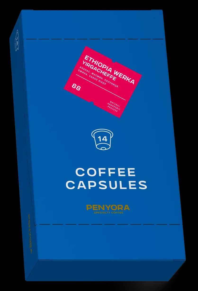COFFEE CAPSULES ETHIOPIA WERKA YIRGACHEFFE