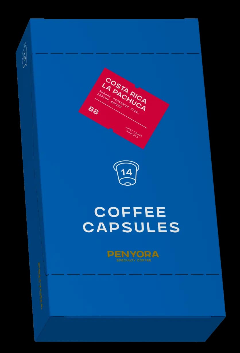 COFFEE CAPSULES COSTA RICA JUICY HONEY