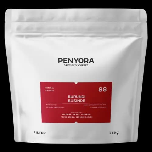 BURUNDI BUSINDE FILTER