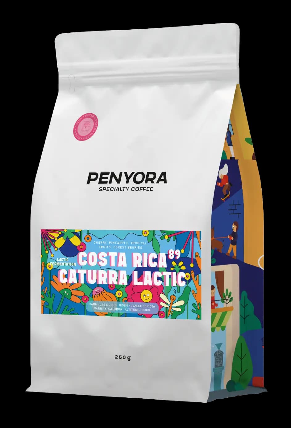 COSTA RICA CATURRA LACTIC FILTER