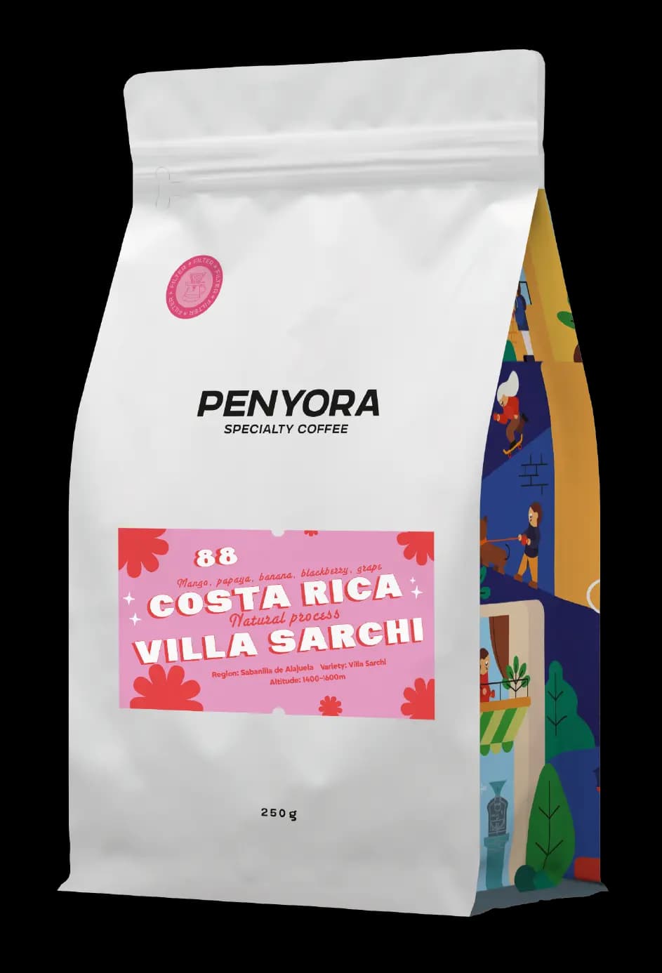 COSTA RICA VILLA SARCHI FILTER