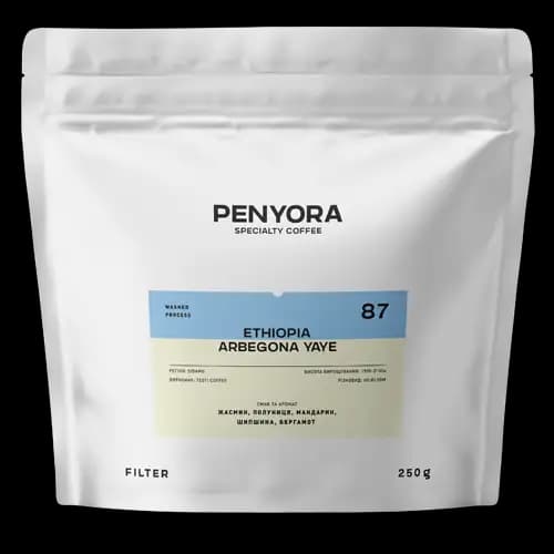 ETHIOPIA ARBEGONA YAYE FILTER