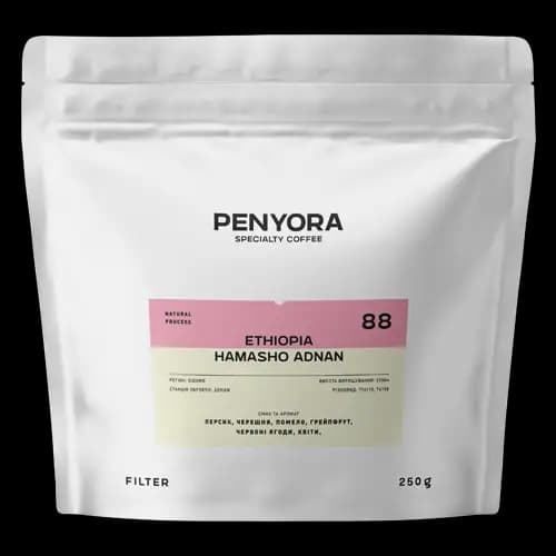 ETHIOPIA HAMASHO ADNAN FILTER