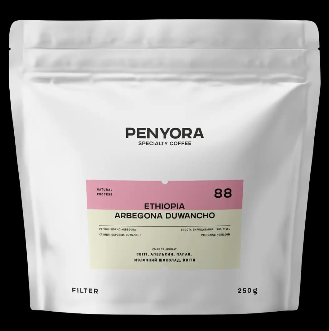 ETHIOPIA ARBEGONA DUWANCHO FILTER