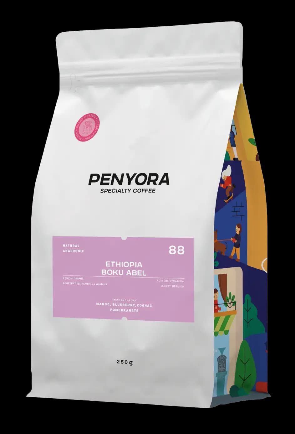 ETHIOPIA BOKU ABEL FILTER