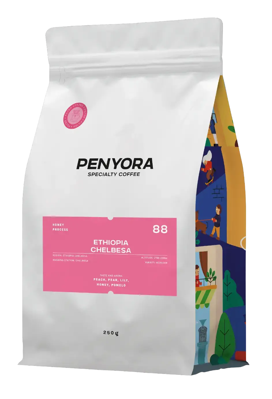 ETHIOPIA CHELBESA FILTER