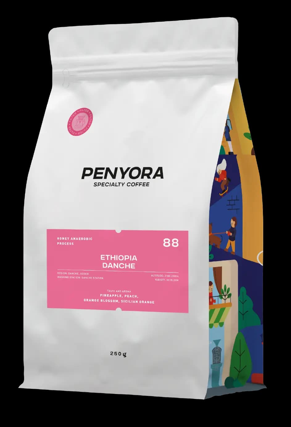 ETHIOPIA DANCHE FILTER