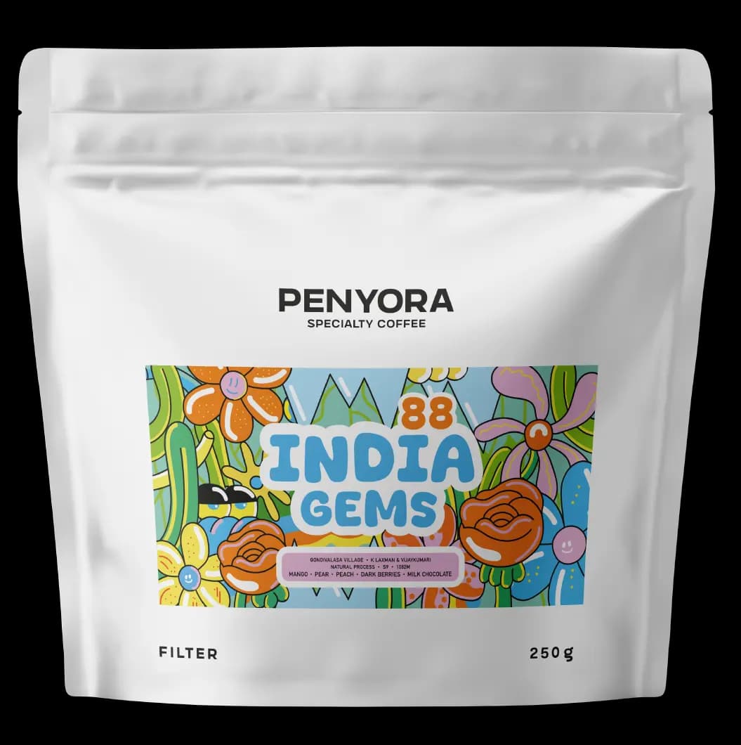 INDIA GEMS FILTER