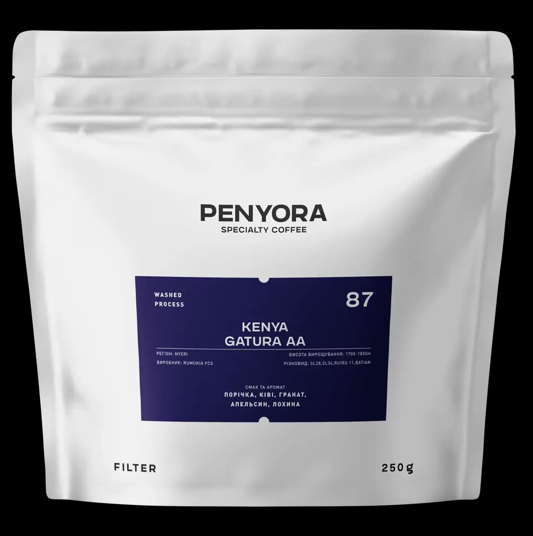 KENYA GATURA AA FILTER
