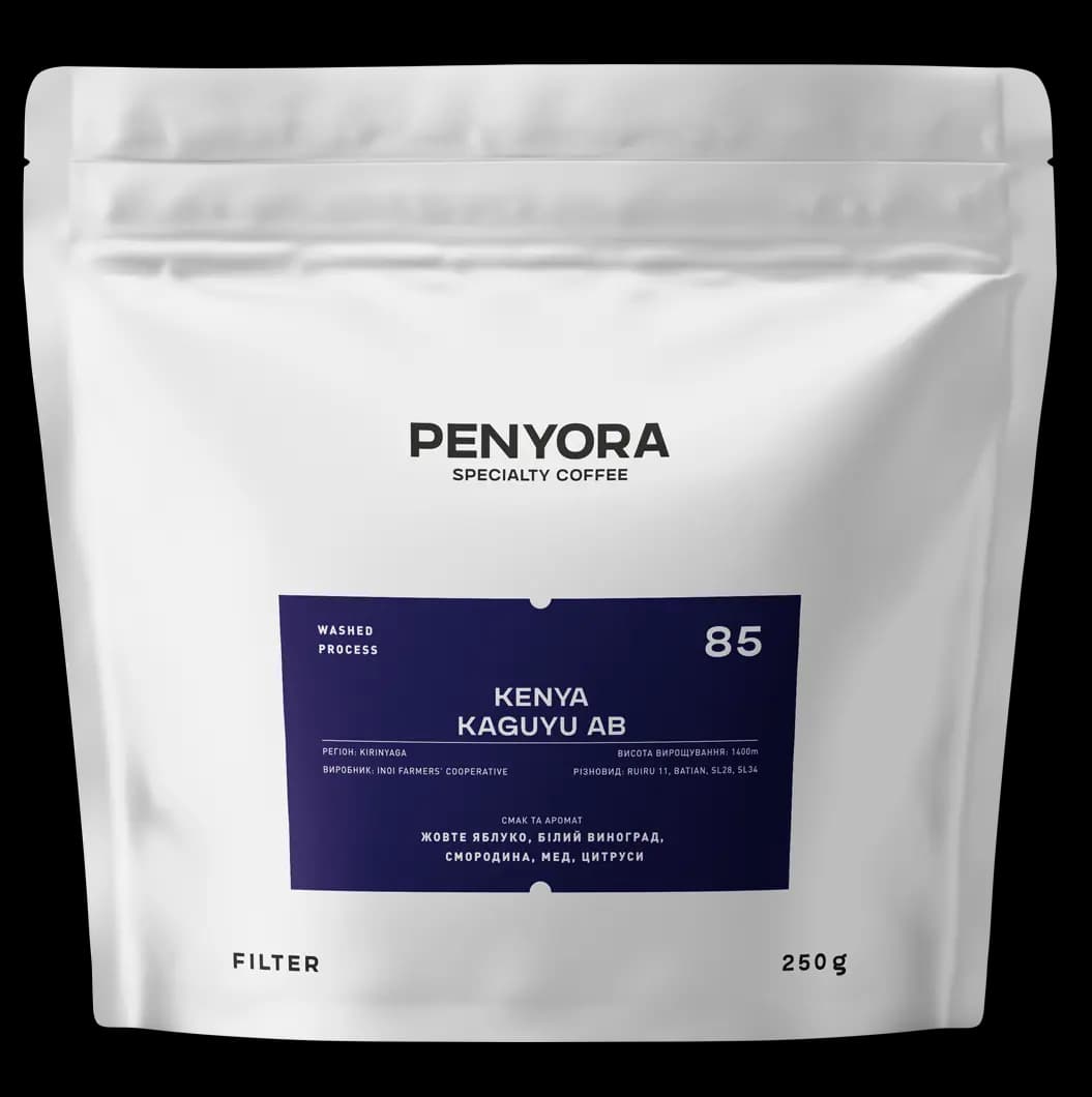 KENYA KAGUYU AB FILTER